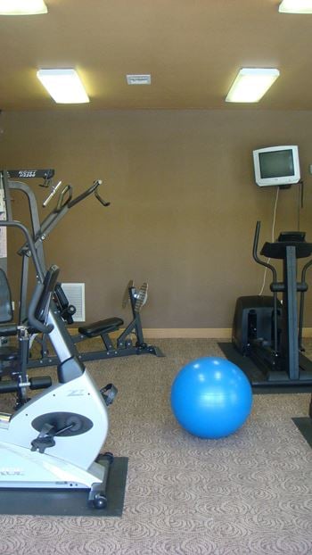 Gym with cardio equipment